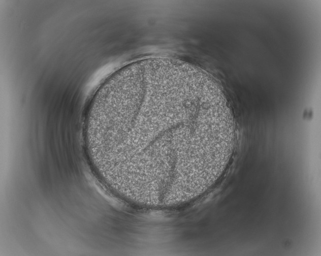 X0000112060149200909151033