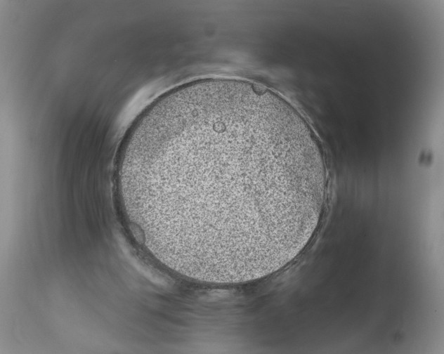 X0000112060151200909151033