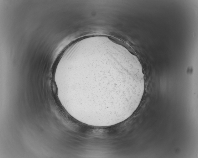 X0000112060152200909151033