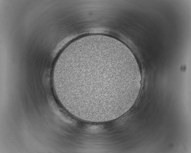 X0000112060155200909151033