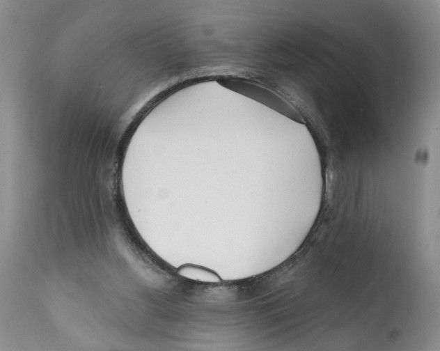 X0000112060156200909151033
