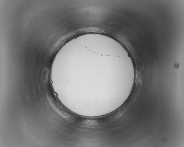 X0000112060157200909151033