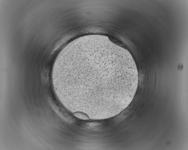 X0000112060158200909151033