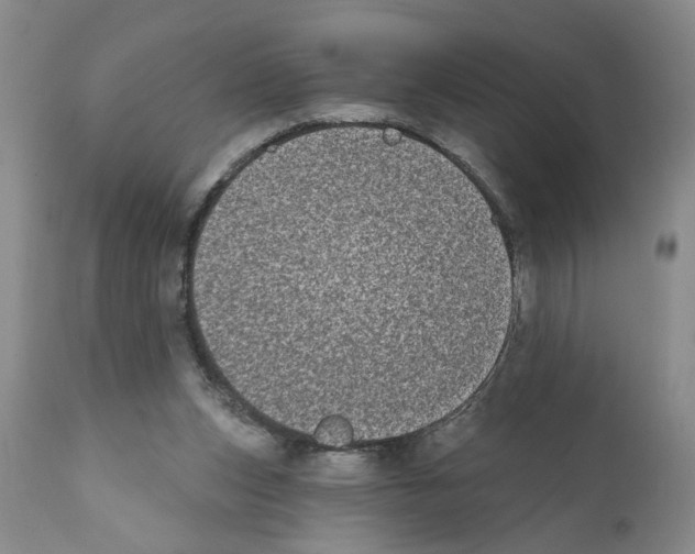 X0000112060159200909151033