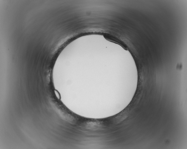 X0000112060160200909151033