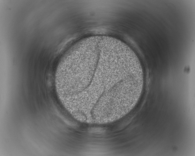 X0000112060161200909151033