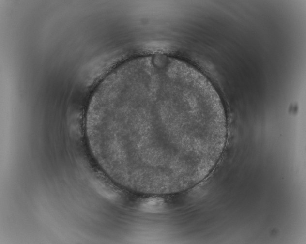 X0000112060162200909151033
