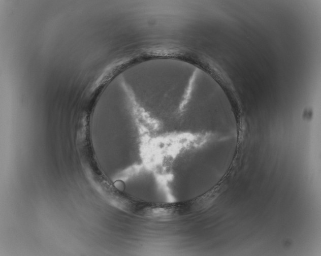 X0000112060163200909151033