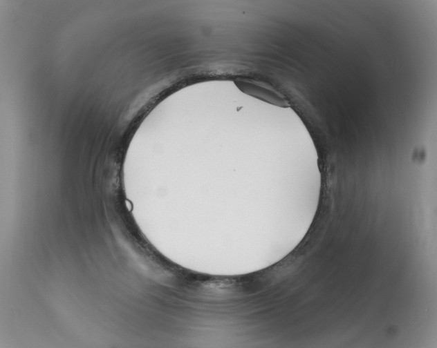 X0000112060164200909151033