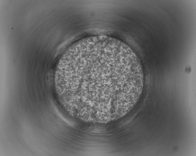 X0000112060165200909151033