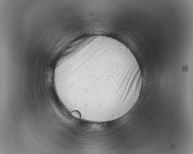 X0000112060166200909151033
