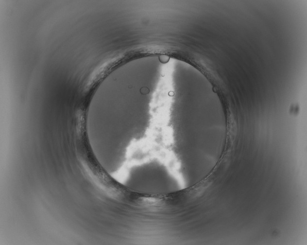 X0000112060167200909151033