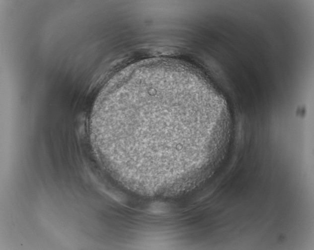 X0000112060169200909151034