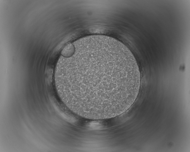 X0000112060171200909151034