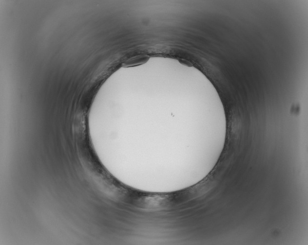 X0000112060172200909151034