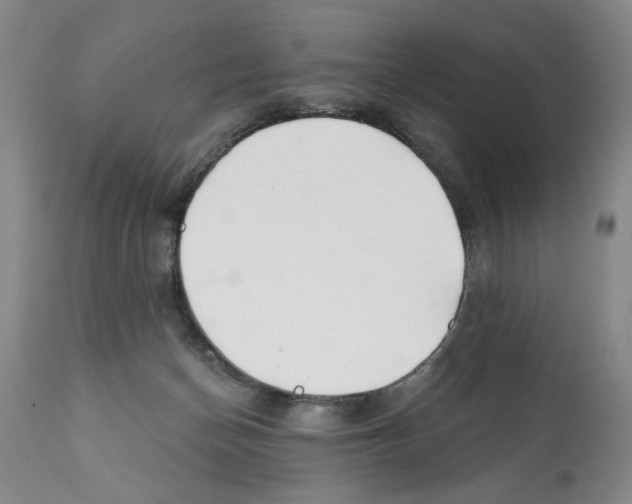 X0000112060174200909151034