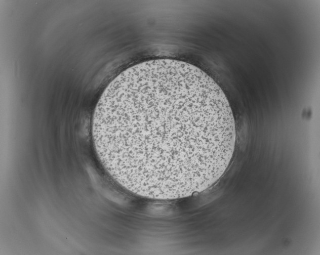 X0000112060175200909151034