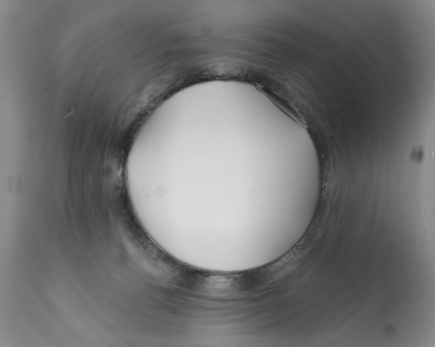 X0000112060176200909151034