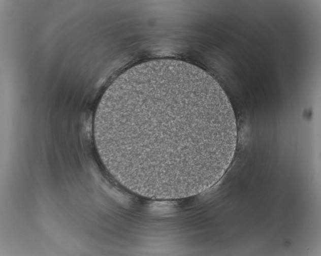 X0000112060179200909151034