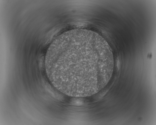 X0000112060181200909151034