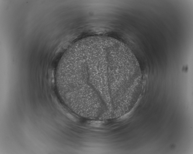 X0000112060182200909151034