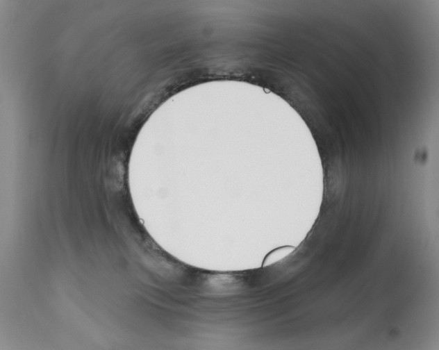 X0000112060183200909151034