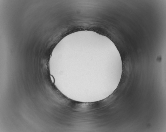 X0000112060184200909151034