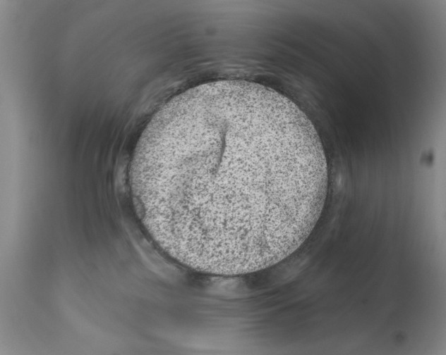 X0000112060185200909151034