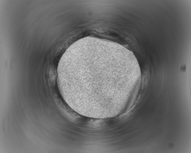 X0000112060186200909151034