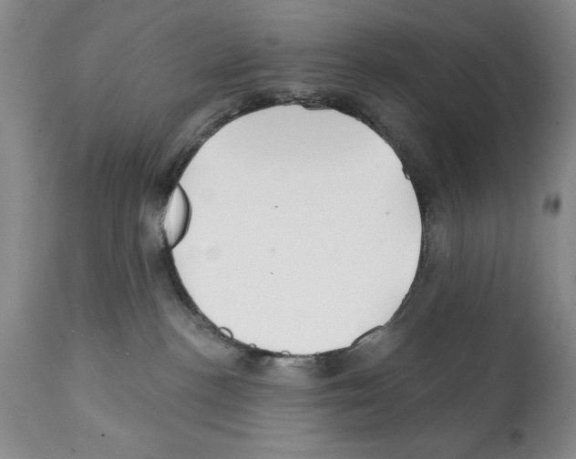 X0000112060188200909151034