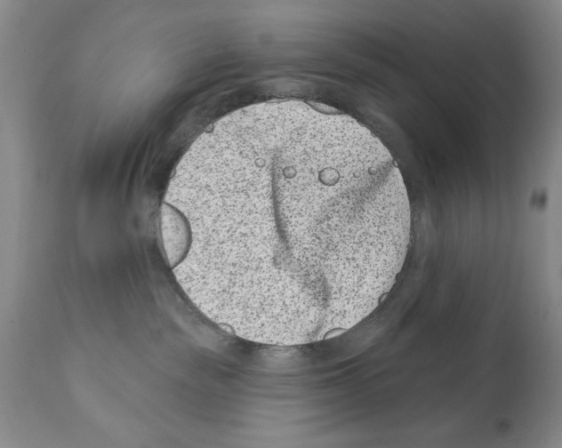 X0000112060189200909151034