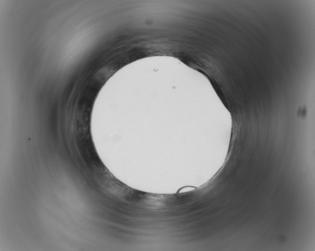X0000112060190200909151034