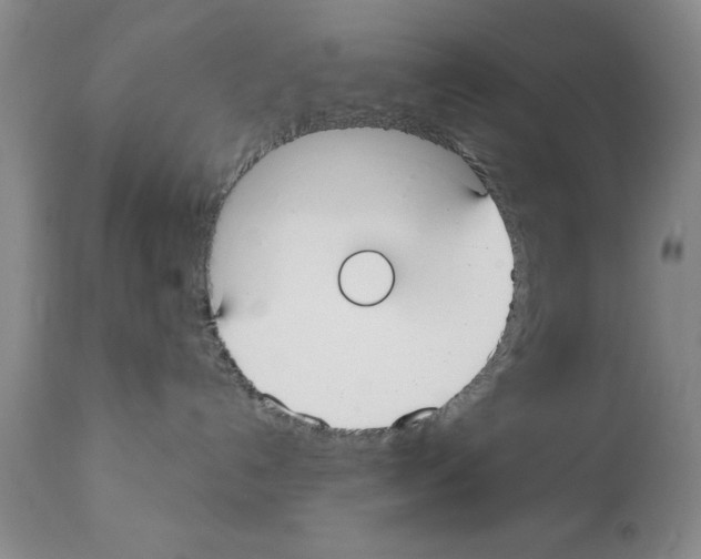 X0000112060192200909151034