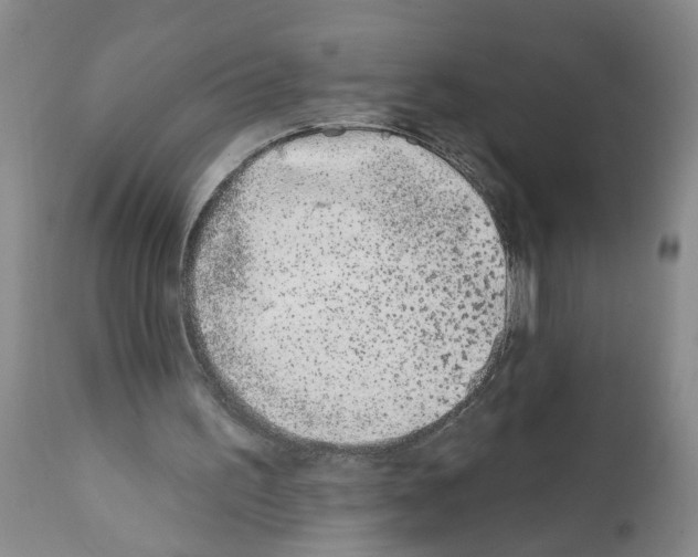 X0000112060195200909151033