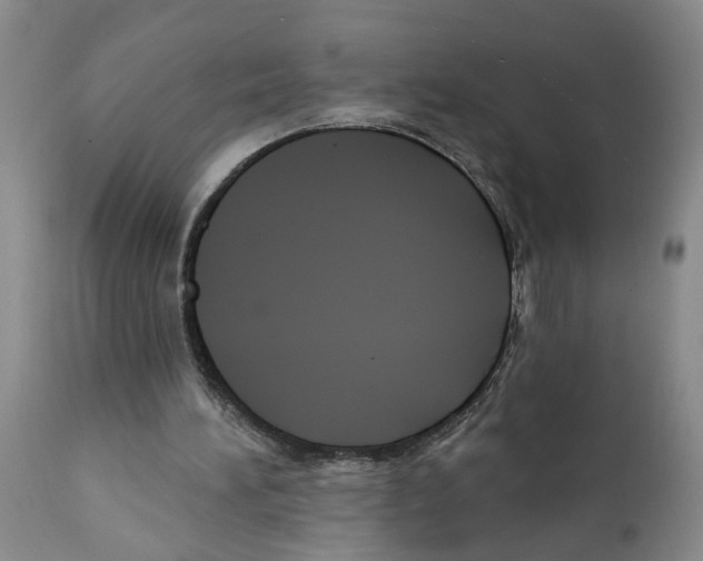 X0000112060196200909151033