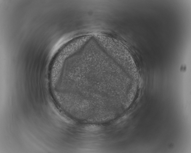 X0000112060198200909151033