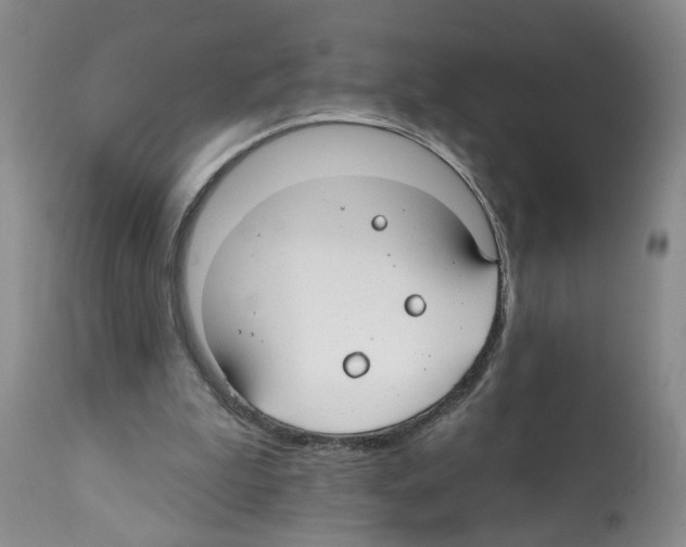 X0000112060199200909151033