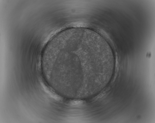 X0000112060202200909151033