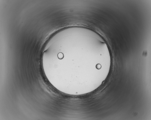 X0000112060203200909151033