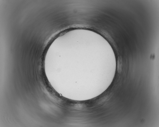 X0000112060204200909151033