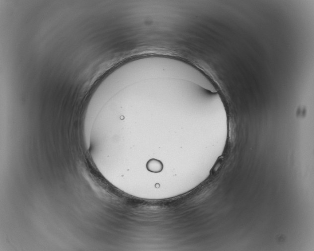 X0000112060205200909151033