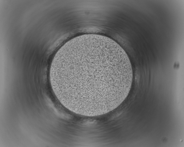 X0000112060206200909151033