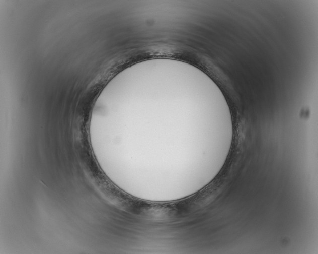 X0000112060209200909151033
