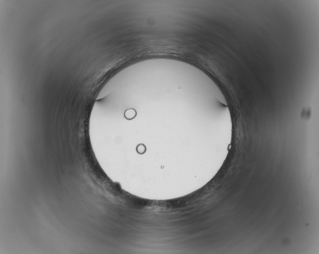 X0000112060211200909151033