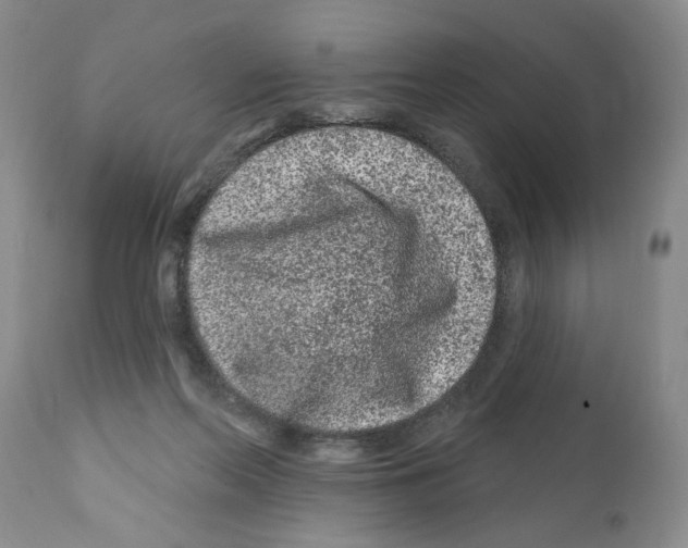 X0000112060214200909151033