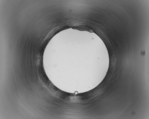 X0000112060216200909151033