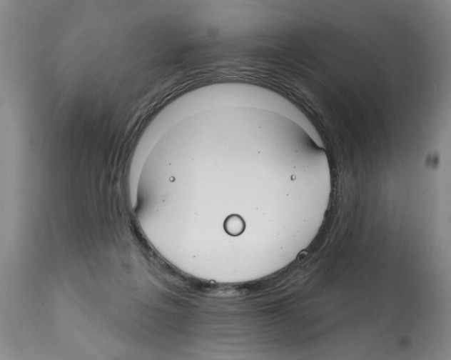 X0000112060217200909151033