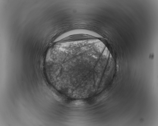 X0000112060219200909151033
