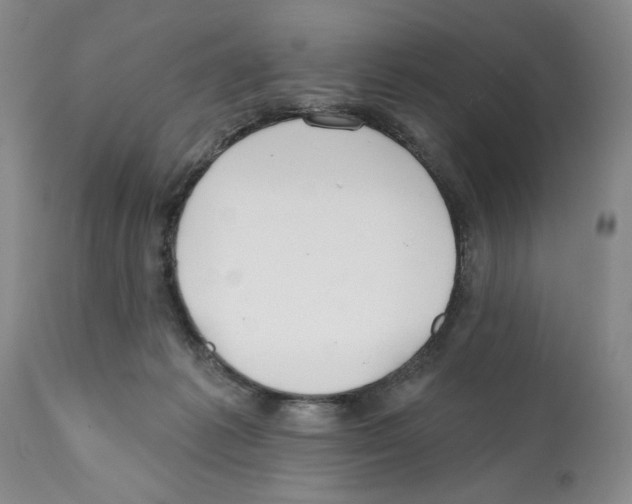 X0000112060221200909151033