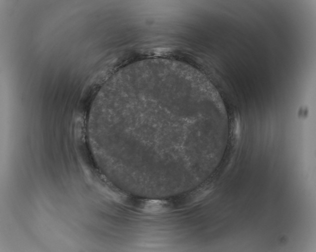X0000112060222200909151033